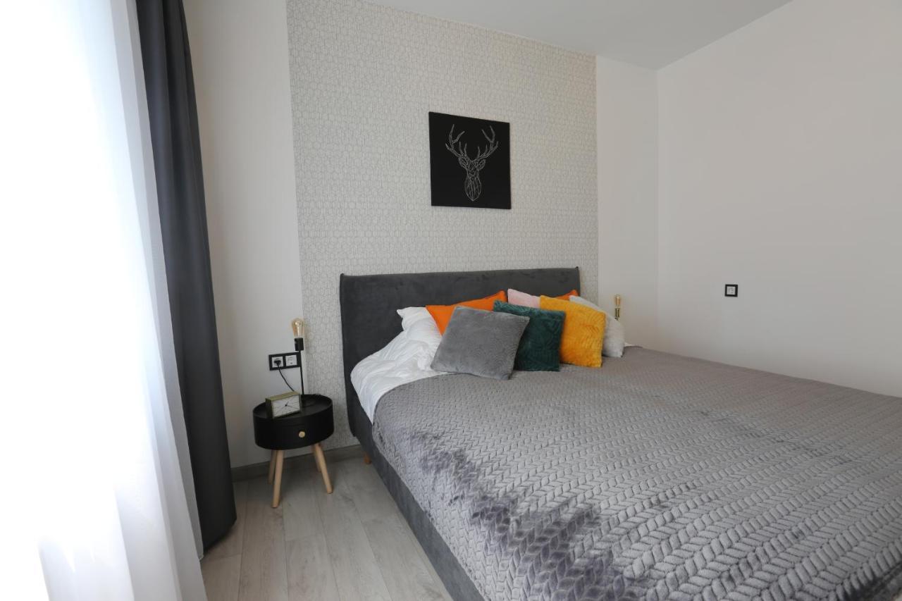 Comfy 2 Room Apartment - Free Parking - 350Mbps Wifi - Netflix カウナス エクステリア 写真